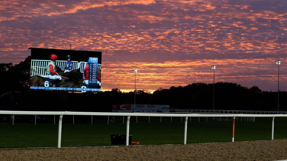 Friday's evening meetings come from Newcastle (pictured) and Dundalk