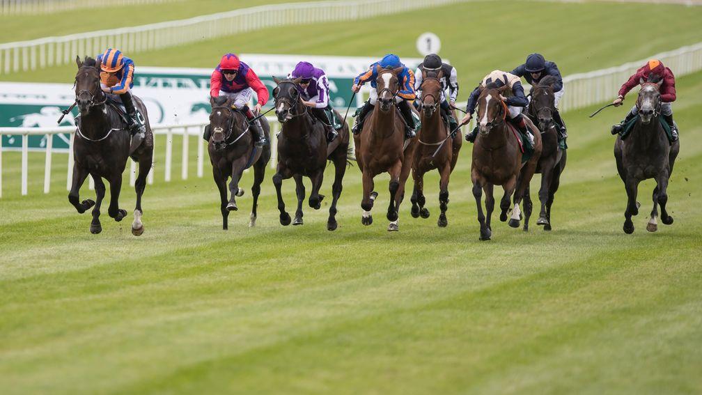 Sioux Nation (left) is now the top-rated Irish juvenile after Sunday's Phoenix Stakes victory