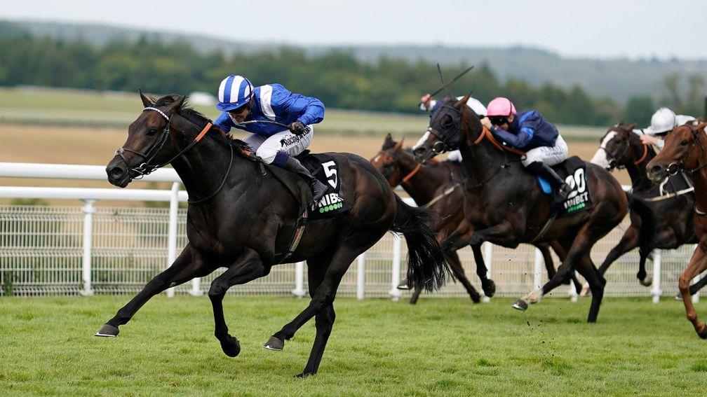 Khaadem: dominated the Unibet Stewards' Cup at Goodwood in August