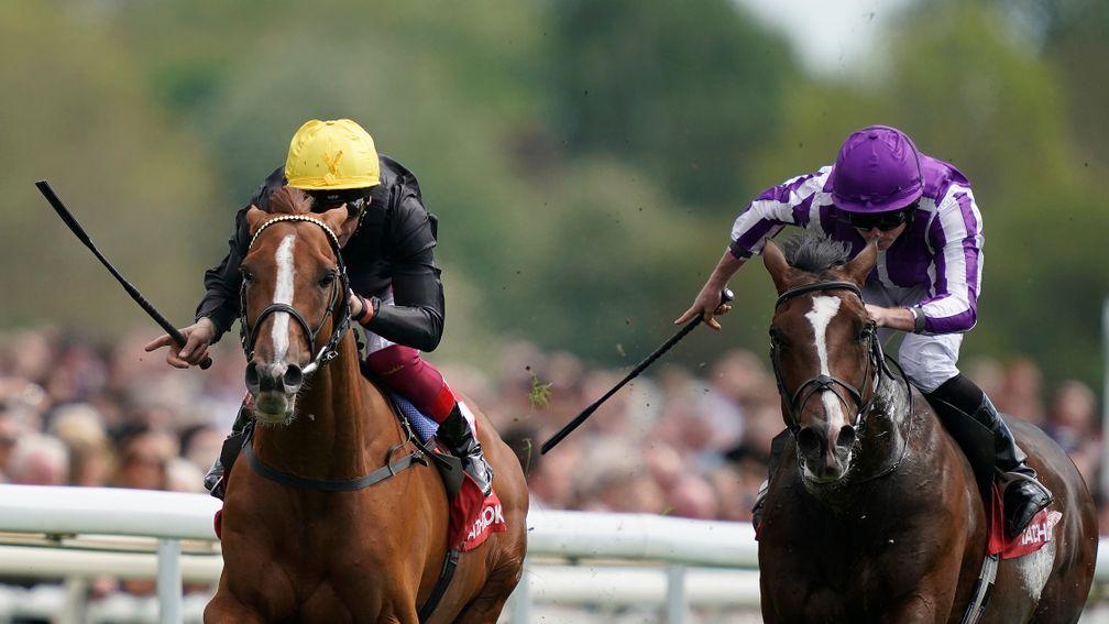 Stradivarius (left): proof that the best selections are not always those that hoover up bonus races