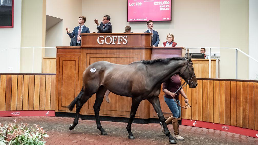 Lust For Glory: Getaway mare brought the gavel down at £235,000