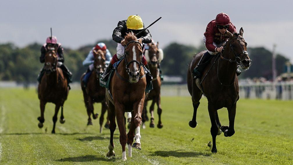 Stradivarius (yellow cap): powers home to win the Lonsdale Cup
