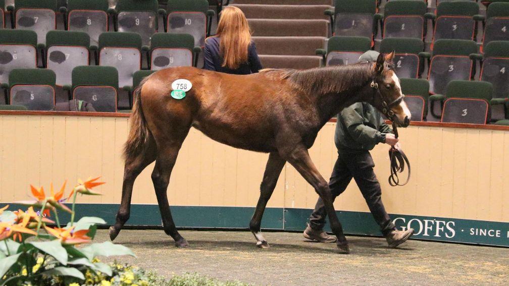 The final filly foal to be offered by the late Galileo took to the Goffs stage