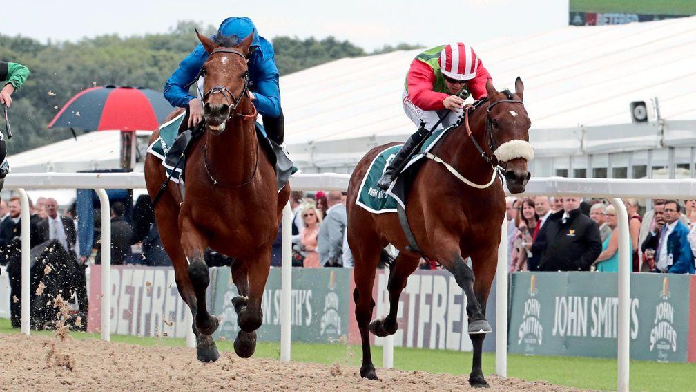 Seamour (right) had looked a likely winner of last year's Plate but was denied by Antiquarium