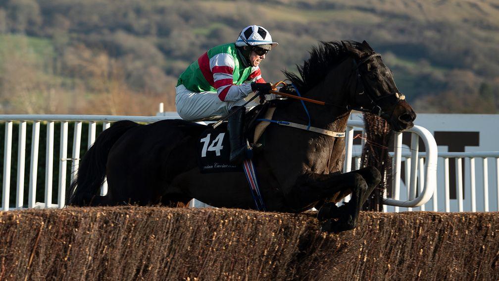 Chatham Street Lad: could be bound for the Marsh Novices Chase