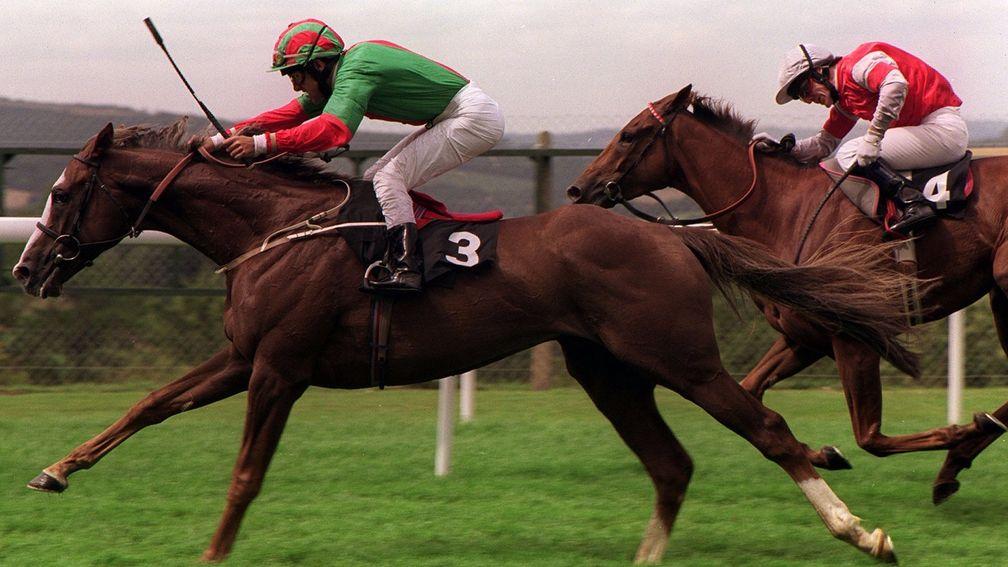 Double Trigger: won on his debut at this meeting 23 years ago