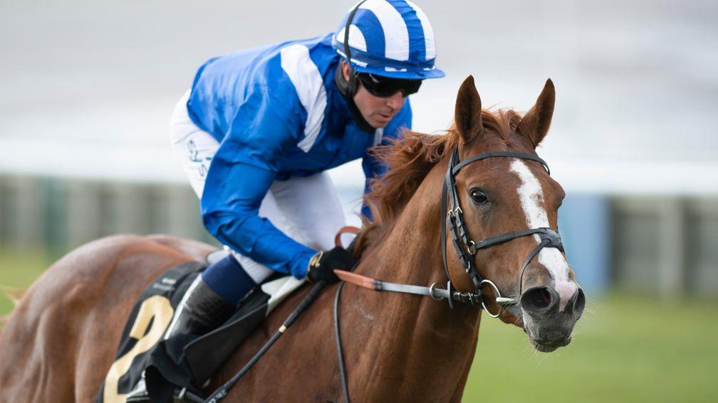 Mohaafeth: a bloodless winner on each of his three starts this year