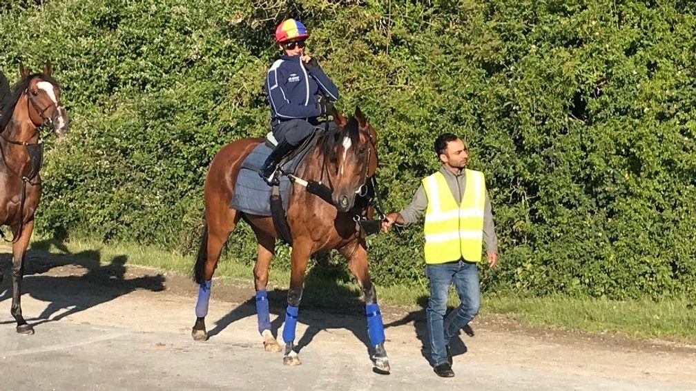 Enable and Frankie Dettori last Saturday morning
