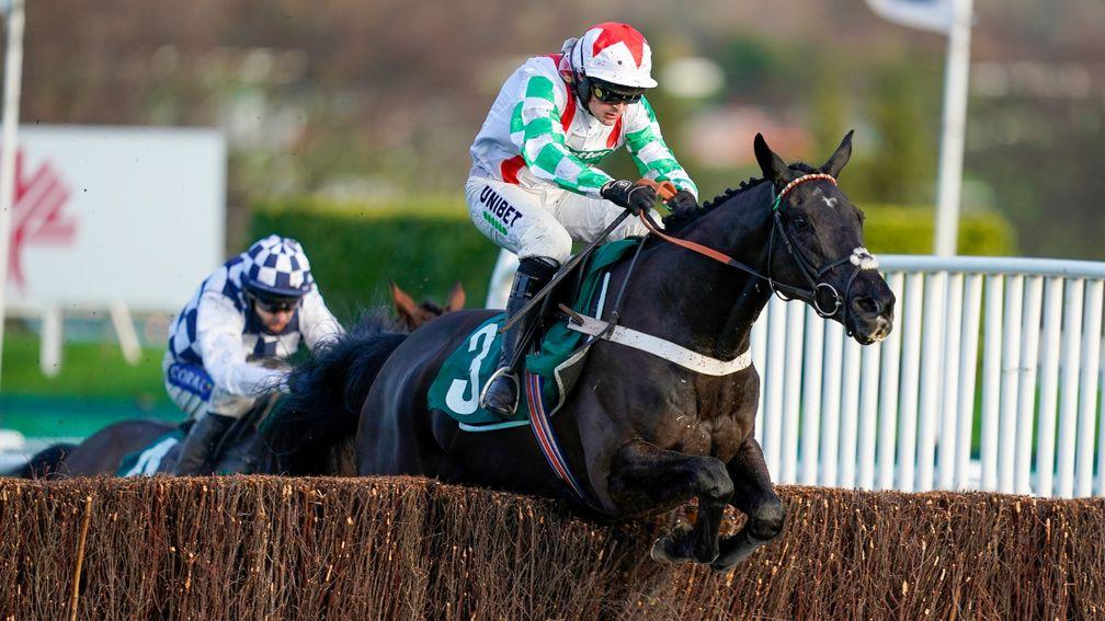 Mister Fisher: the Peterborough Chase winner's half-sister makes her rules debut at Plumpton