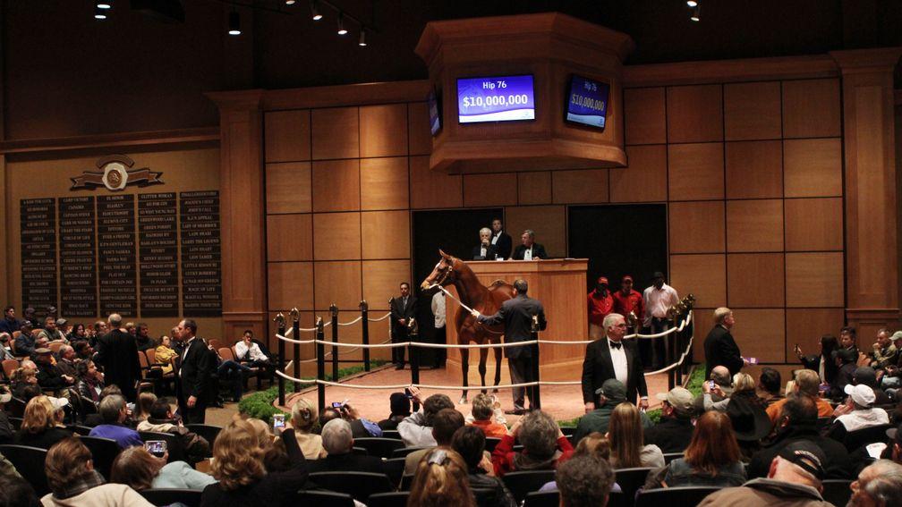 Havre De Grace brings a bid of $10 million from Mandy Pope at Fasig-Tipton in 2012