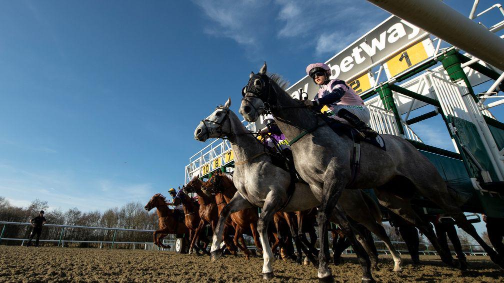 Lingfield: intriguing feature handicap on Friday's card