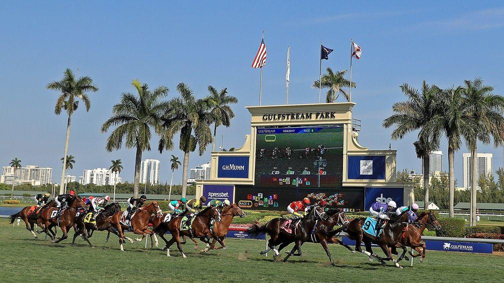 Runners stream past the stands in the first running of the $12 million Pegasus World Cup Invitational at Gulfstream in 2017
