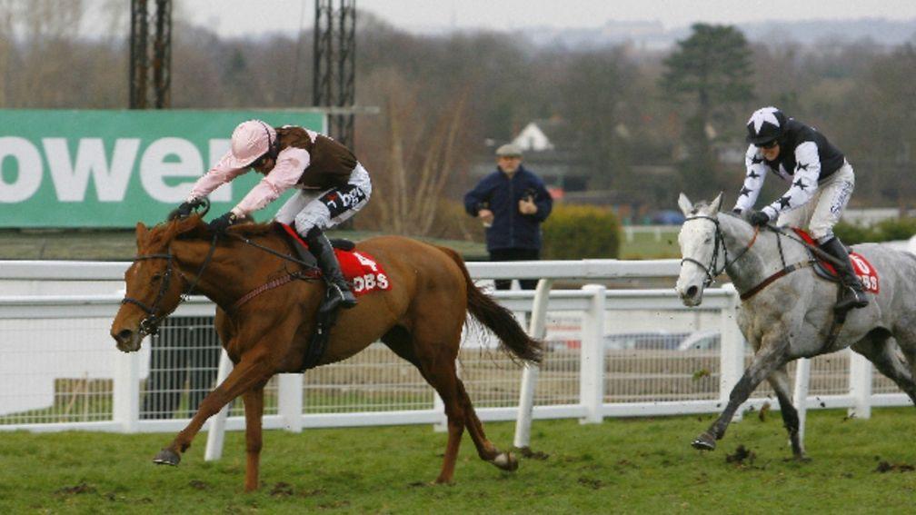 Kentucky Sky finished second to Golden Sunbird and Tony McCoy in the Listed bumper at Sandown