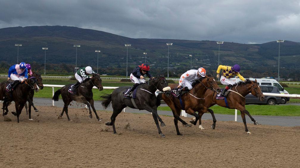 Dundalk: hosts good competitive action on Friday