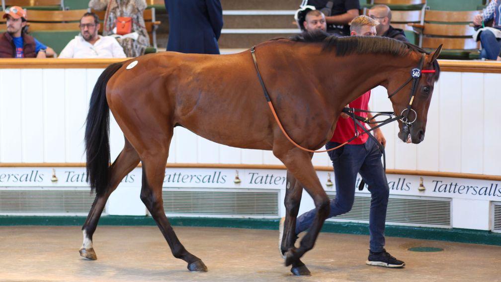 Lot 540: Grenoble sells for 130,000gns