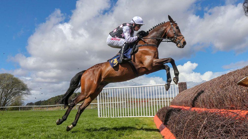 A fine jump by Baby King on his way to winning the 2m handicap chase