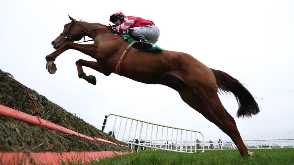 Acapella Bourgeois: is as short as 8-1 for Thursday's Goffs Thyestes Handicap Chase