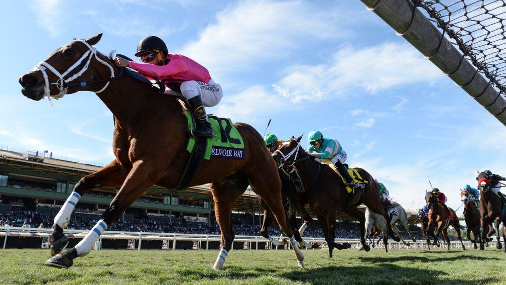 Breeders' Cup: will be staged at Keeneland in 2020