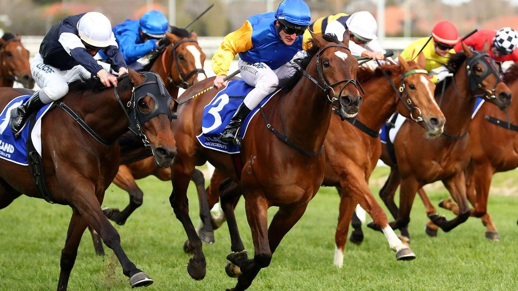 Black Hart Bart (blue cap, centre) gets up to win the the Group 1 Underwood Stakes at Caulfield