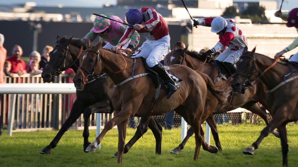 The ill-fated Top Othe Ra (purple cap) recording his third Galway festival win last year