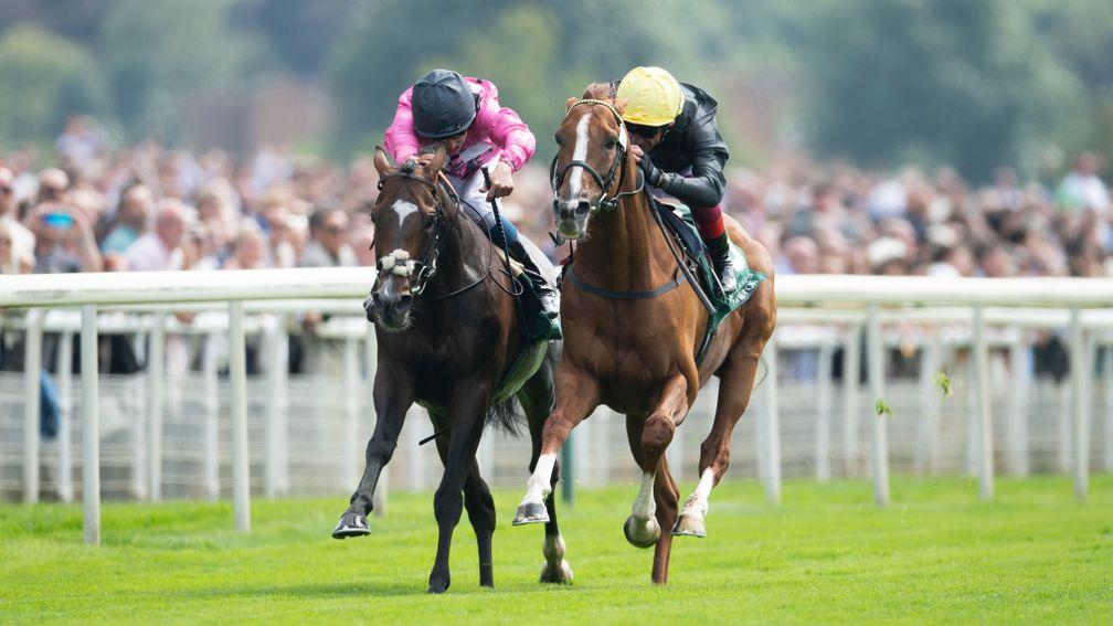 Stradivarius (right): overcame Spanish Mission in a nail-biting finish to the Yorkshire Cup