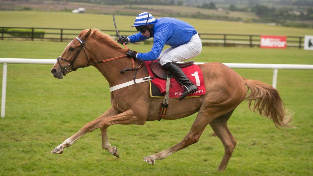 The promising Advantage Point makes his hurdling debut