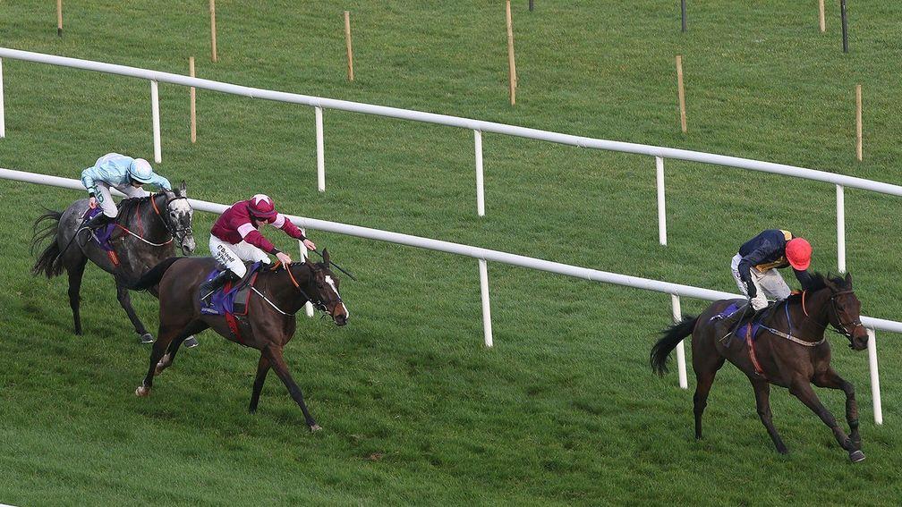 Dallas Des Pictons chasing home City Island at Leopardstown last season