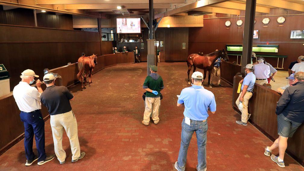 Plenty of buyers have remained at Keeneland looking for value