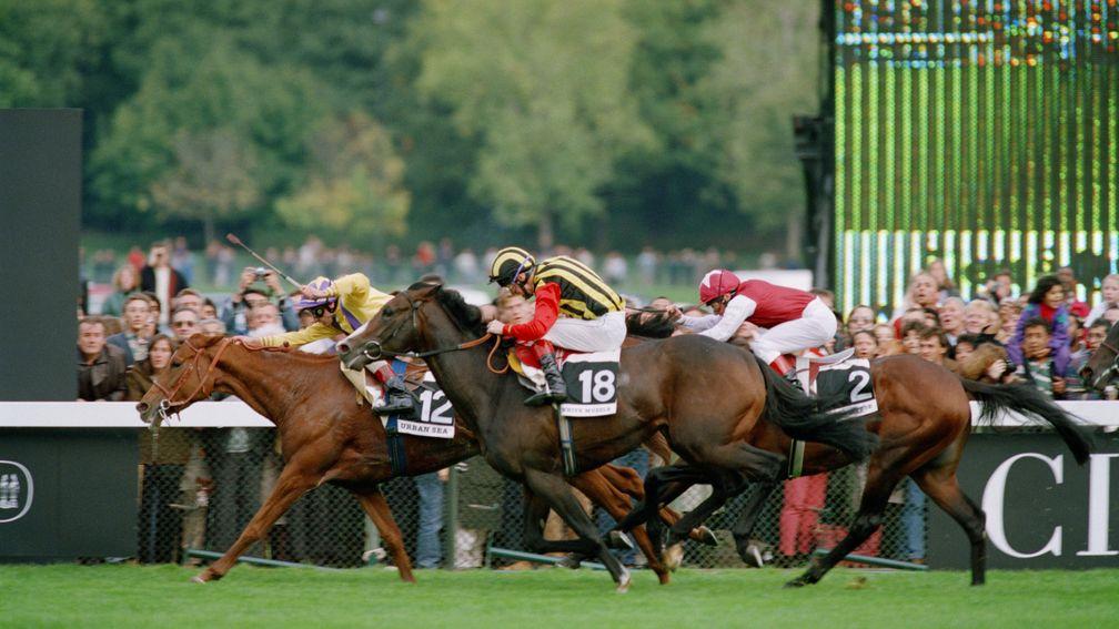 French racehorse Urban Sea (number 12) wins the Prix de l'Arc de Triomphe at Longchamp Racecourse in Paris, October 1993. She is being ridden by jockey Eric Saint-Martin. White Muzzle (18) and Opera House (2) are second and third in the race. (Photo by Pa