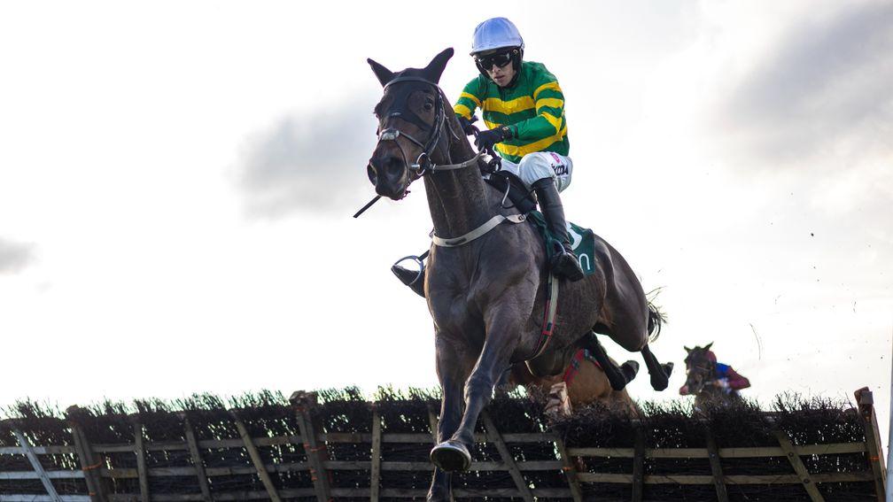 Hercule Du Seuil and Mark Walsh on the way to winning the For Auction Novice Hurdle at Navan