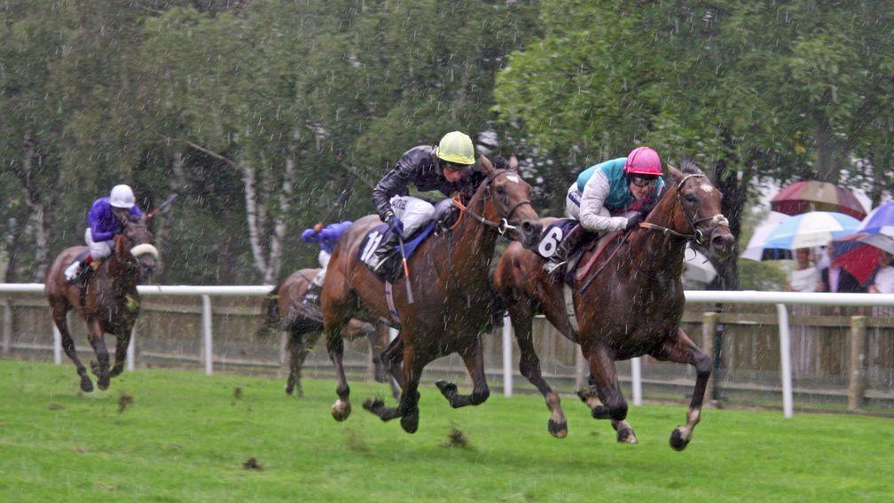Frankel (right) leads home Nathaniel on their racecourse debuts
