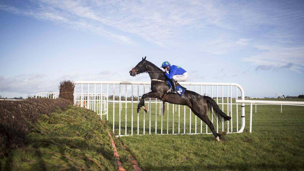 Asthuria: could be the pick of the Willie Mullins runners