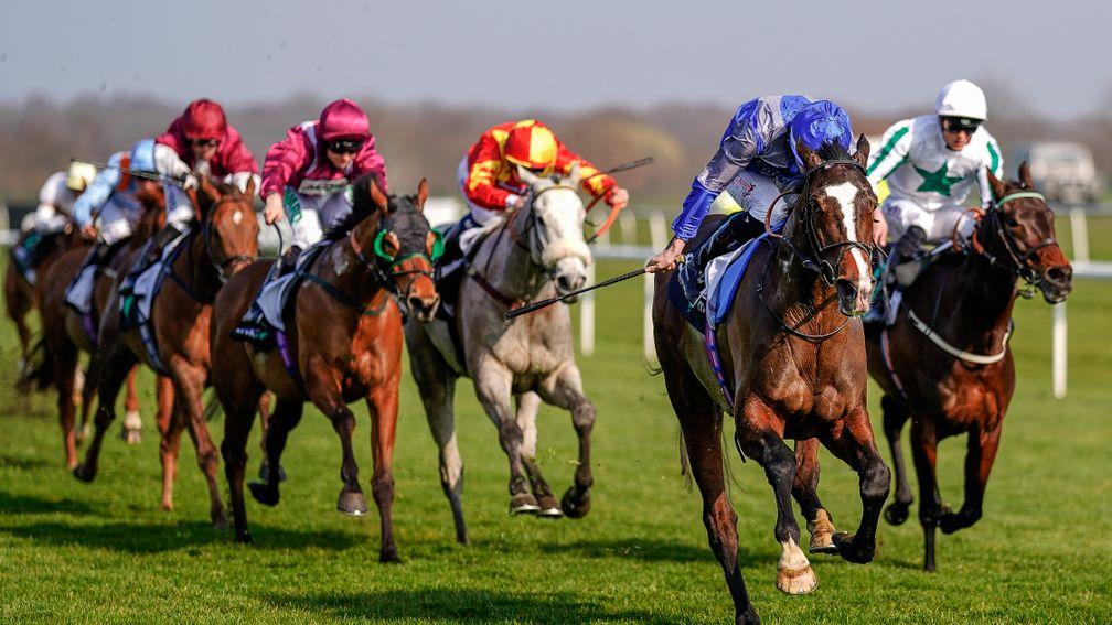Arthur's Realm faced just seven rivals when winning the Spring Mile at Doncaster last year
