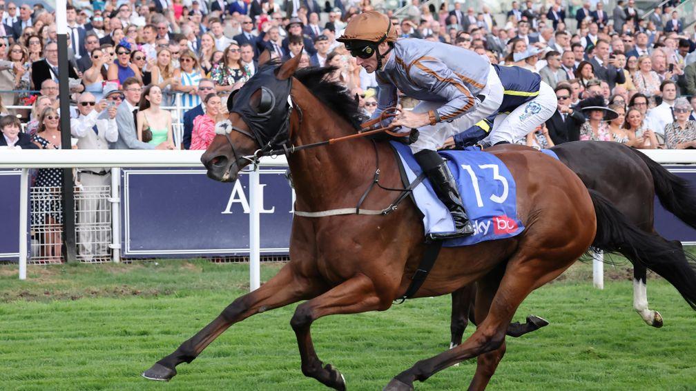 Summerghand: features at York on Wednesday