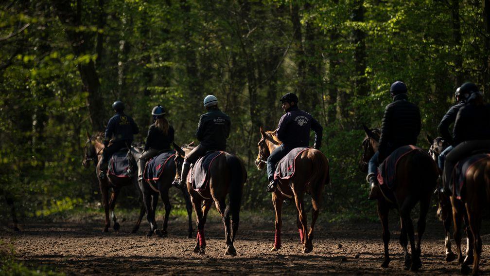 Chantilly-based trainers have had all charges for gallops and other facilities suspended in an attempt to allevaite the financial burden of the coronavirus shutdown
