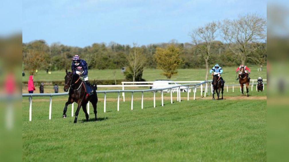 Ginto strolls to a 12-length success at Tattersalls point-to-point