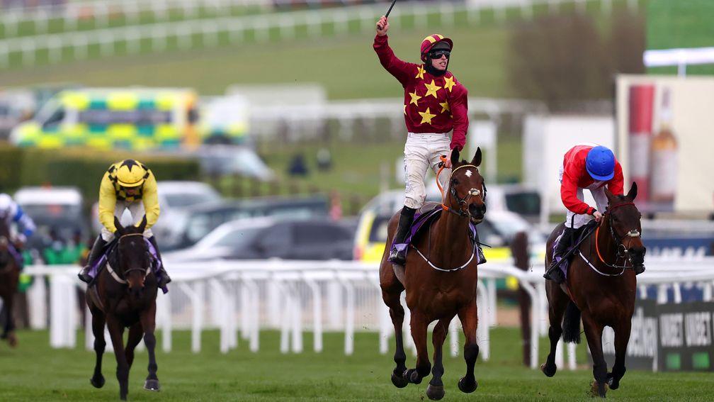 Minella Indo: the Gold Cup winner was one of 13 Irish point-to-point graduates to win at the Cheltenham festival