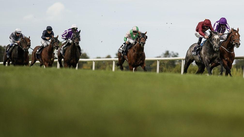 Study Of Man (extreme left) and Stephane Pasquier on their way to fifth place in the Irish Champion Stakes last Saturday
