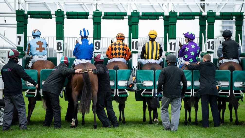 Stalls: some concerns about the start of races when racing returns