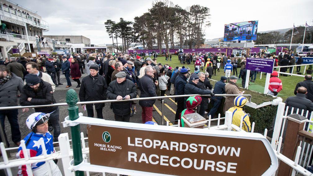Dublin Racing Festival: officials hopeful of welcoming at least 5,000 each day