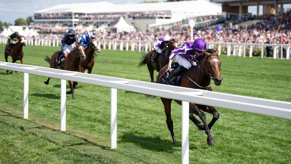 Kew Gardens looks set to return to the scene of his Queen's Vase victory in the King George VI And Queen Elizabeth Stakes