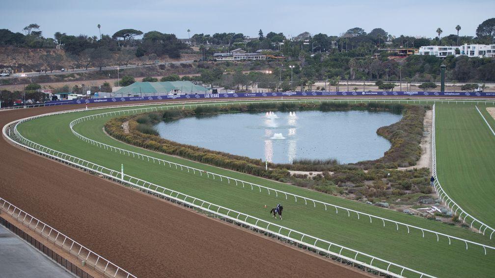 Tight turns on the turf at Del Mar on a cool overcast morning Del Mar