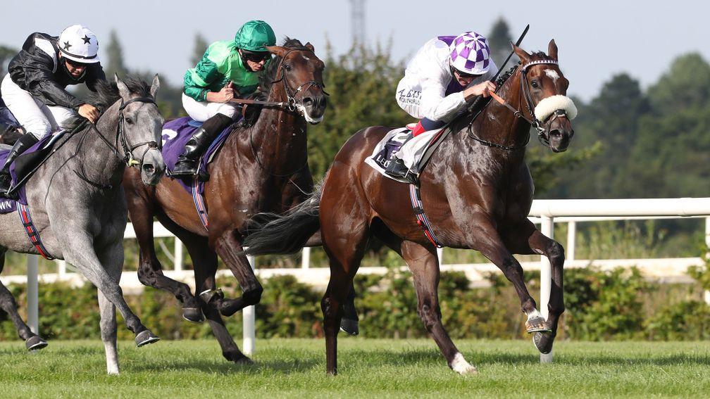Stone Age (green): has an entry in the Group 2 Futurity Stakes at the Curragh this month