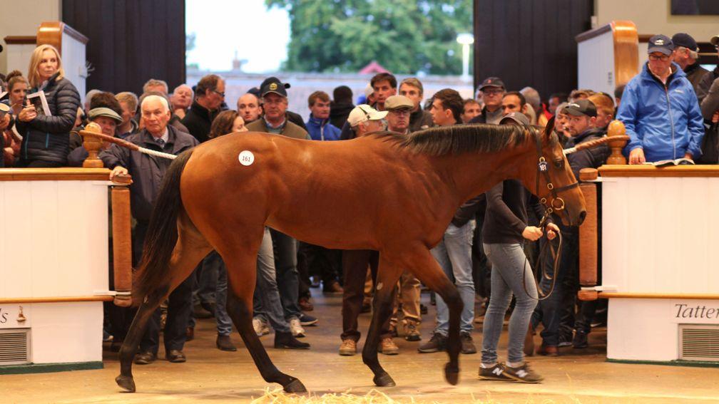 Fairyland drew plenty of interest when fetching 925,000gns in the Tattersalls ring
