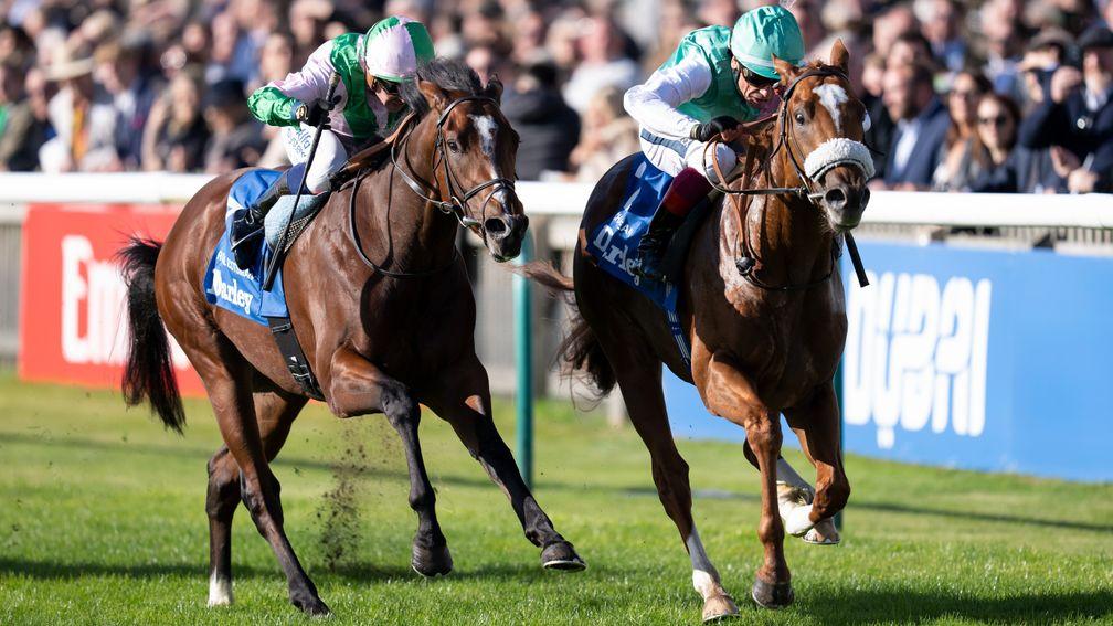 'He's a very good horse and it'll be straight to Newmarket with him' - connections on their 2,000 Guineas entries