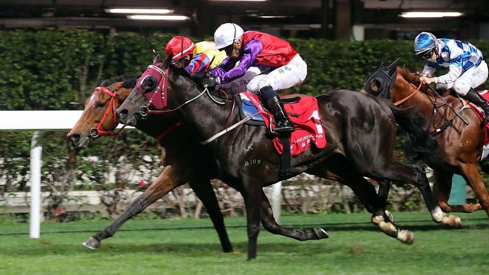 Encouraging (near) dead-heats with Magnificent at Happy Valley last month