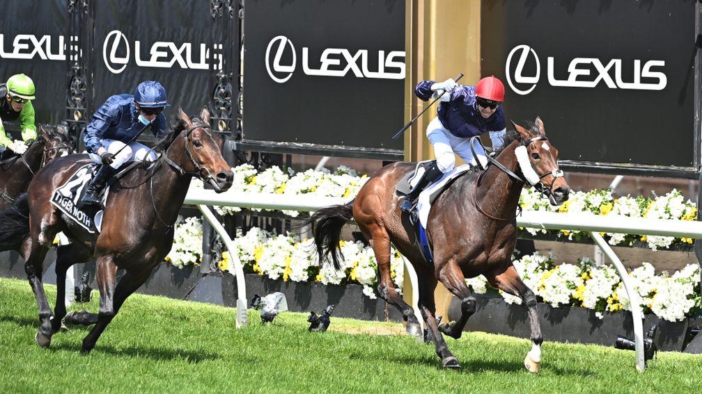 Twilight Payment and Jye McNeil gallop to Lexus Melbourne Cup glory