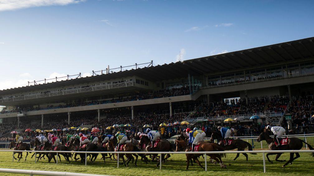 Leopardstown: is the venue for some good Flat action on Thursday afternoon