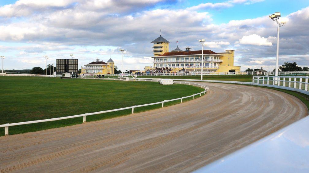 Greyhound action from Towcester is set to feature on The Racing Partnership service