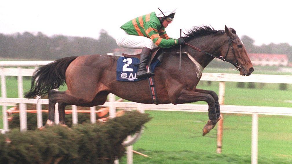 Istabraq: the best two-mile hurdler according to Racing Post Ratings